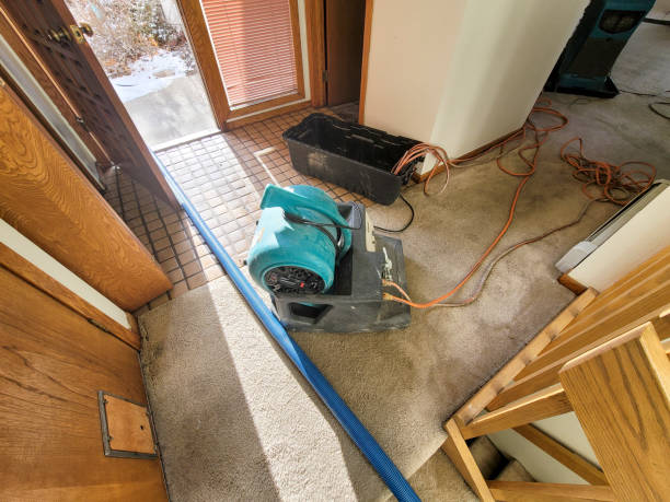 Best Flood damage cleanup  in Rogers, AR
