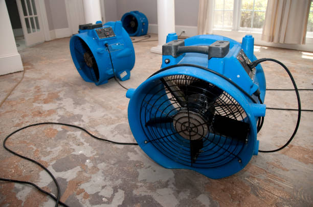  Rogers, AR Water damage restoration Pros