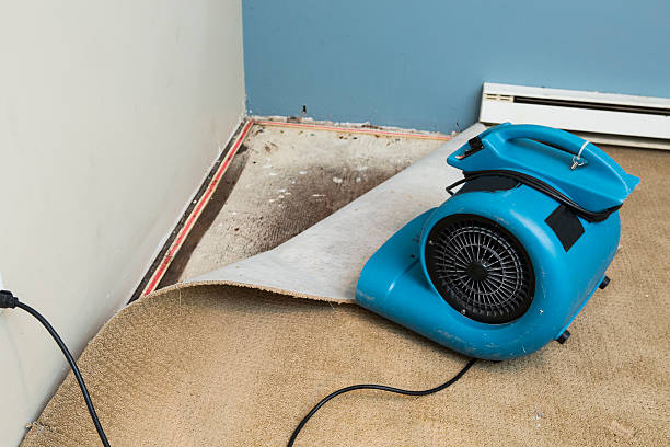 Best Water damage cleanup near me  in Rogers, AR
